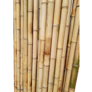 картинка 01-131Бамбуковый  ствол D3 х 200 см от магазина Одежда+